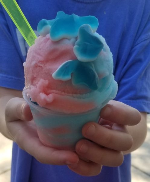 Dat's a N'ice Italian Ice